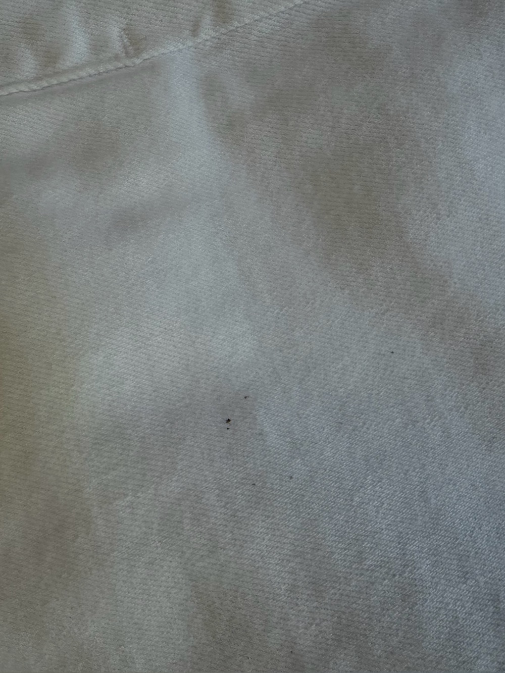 Agolde Riley White Jeans - Picture 6 of 9